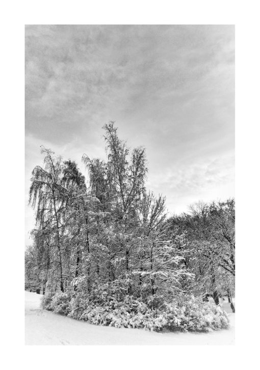 beijers park kirseberg vinter snö poster