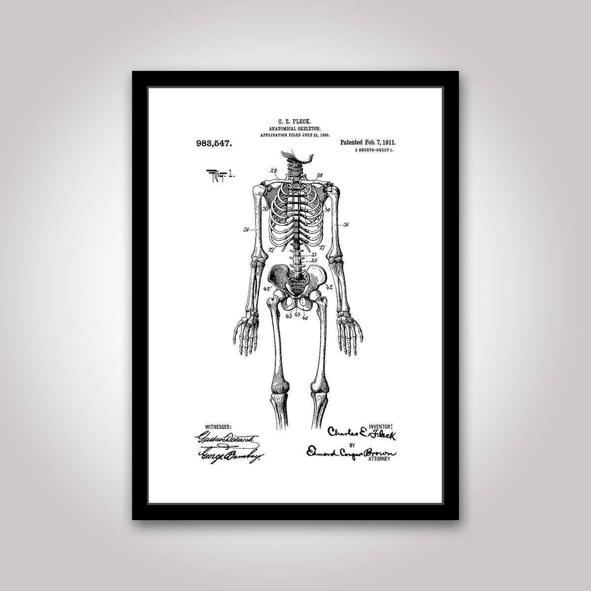 Skeleton skelett patentritning poster