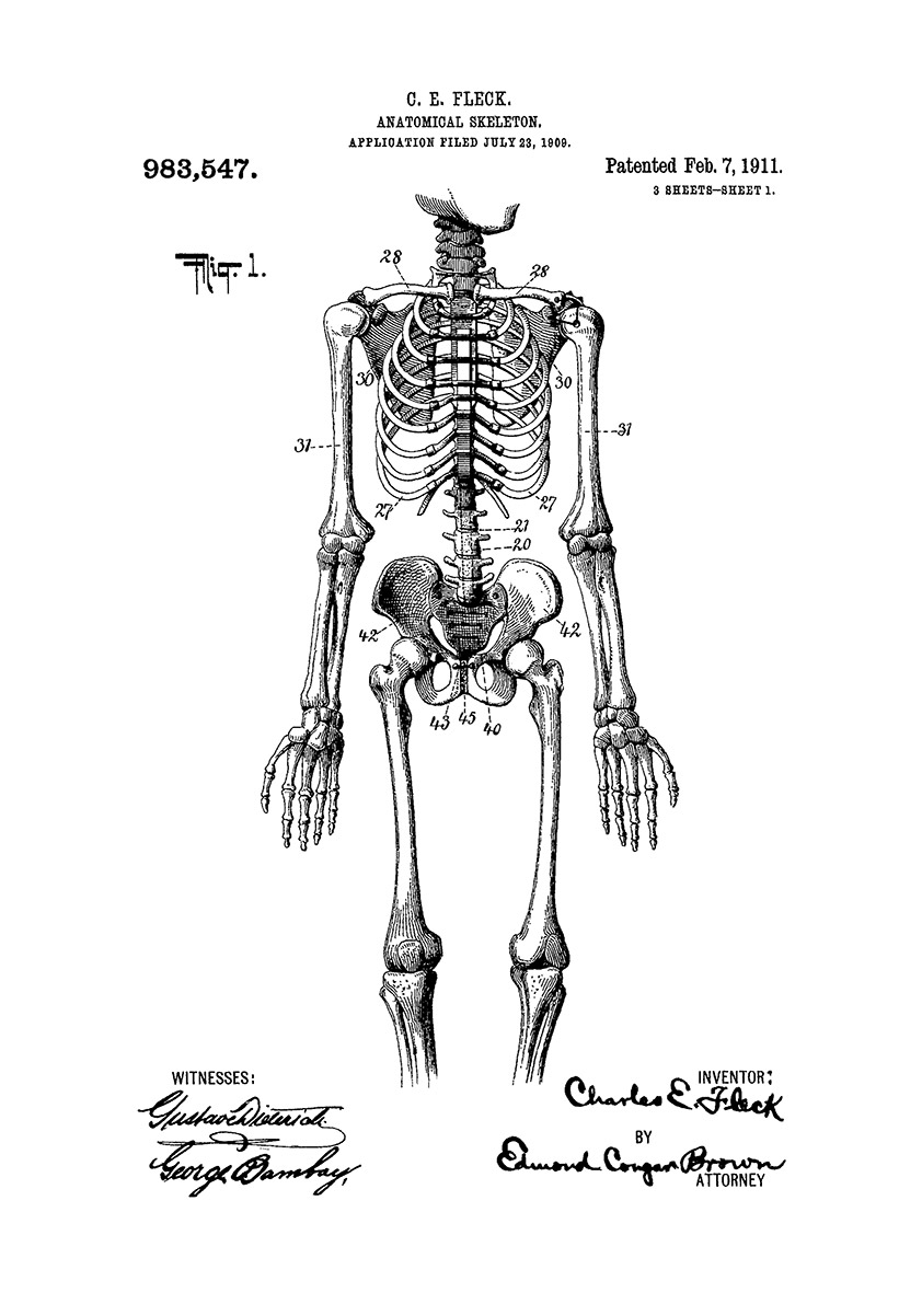 Skeleton skelett patentritning poster
